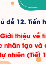 Bài 42. Giới thiệu về tiến hoá, chọn lọc nhân tạo và chọn lọc tự nhiên (Tiết 1)
